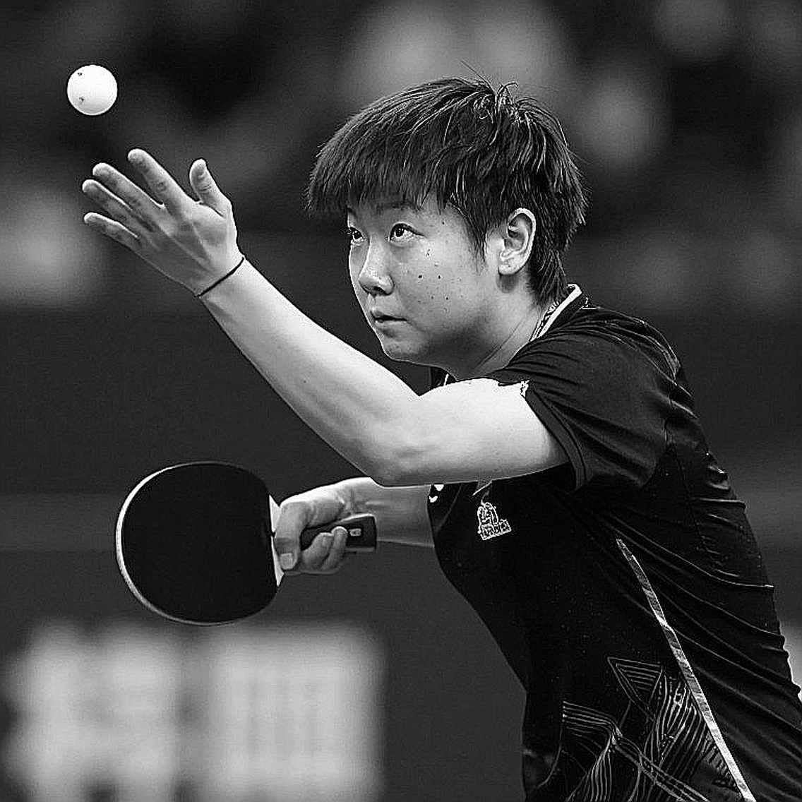 CLB Bóng bàn Worthing khởi động giải đấu Junior Team 1 Star — bài học về mô hình phát triển từ gốc cho bóng bàn trẻ