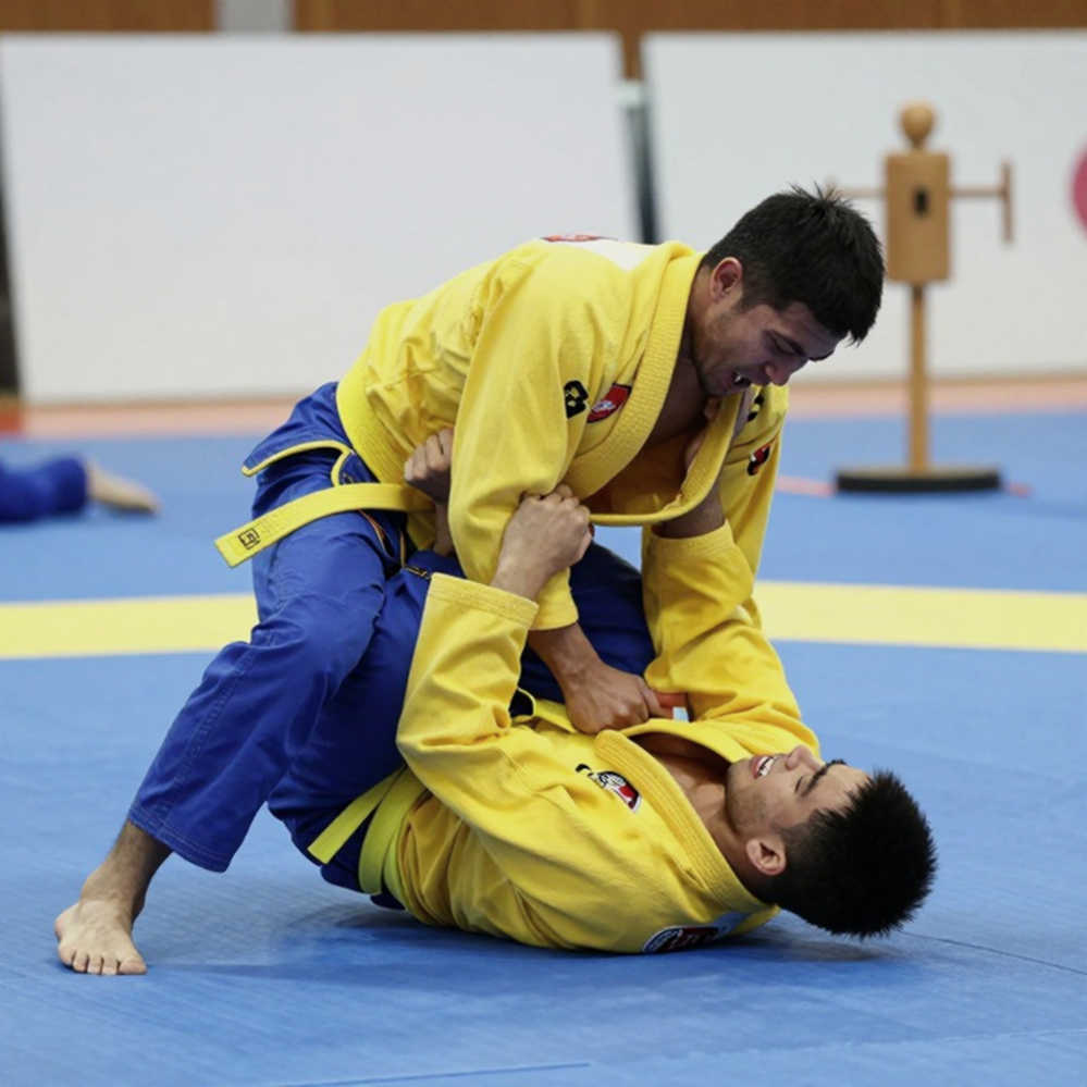 Vietnamese Martial Arts and the Eight-Dimension Equation: What Remains After the Final Bell Vietnamese Martial Arts and the Eight-Dimension Equation: What Remains After the Final Bell