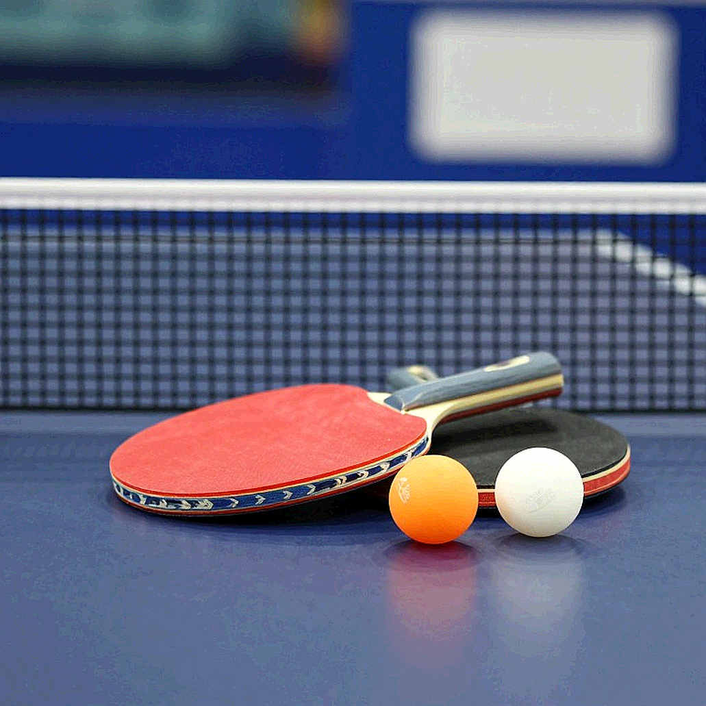 Belgium Open 2026: Portugal's U21 Double and the Result Line Nobody Read Belgium Open 2026: Portugal's U21 Double and the Result Line Nobody Read