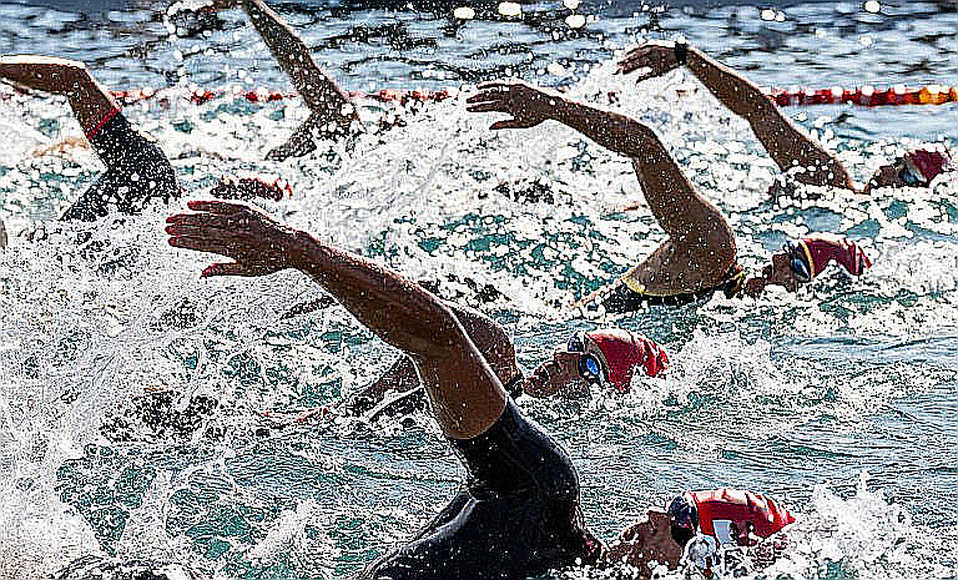 Ba nút bấm trên máy tính bảng: World Aquatics chuẩn hóa 160 giám định viên bơi nghệ thuật
